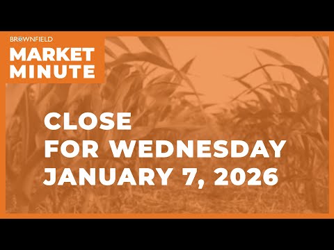 Cattle were lower at midweek | Closing Market Minute