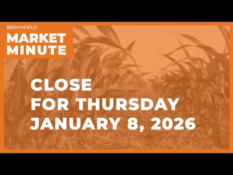 Cattle were higher Thursday | Closing Market Minute