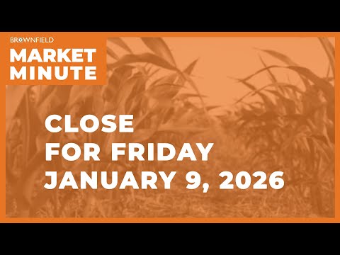Cattle futures were lower Friday | Closing Market Minute