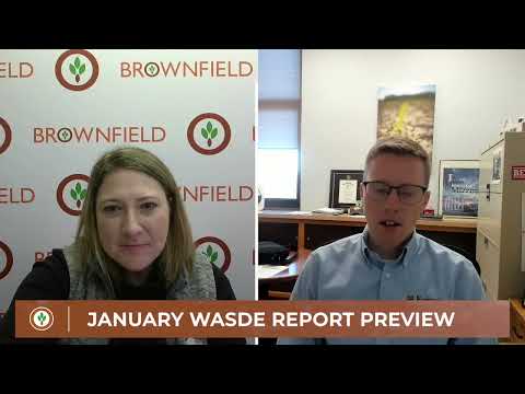 January WASDE Preview Report