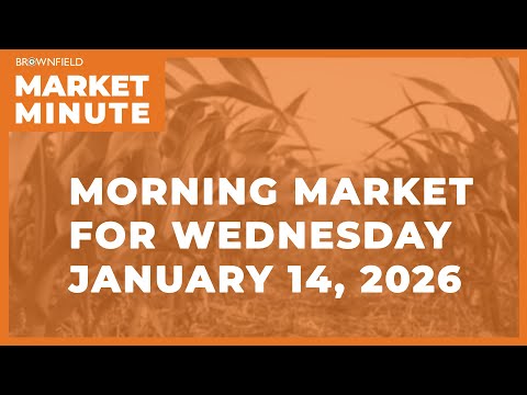 Soybeans were highter overnight | Morning Market Minute