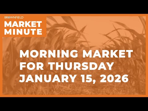 Corn was up in overnight business | Morning Market Minute