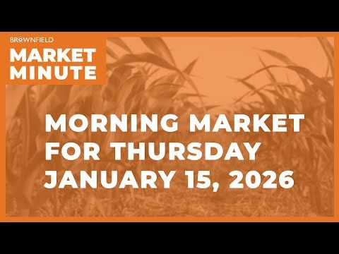 Corn was up in overnight business | Morning Market Minute cover art