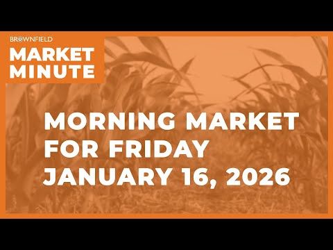 Corn was up overnight | Morning Market Minute cover art