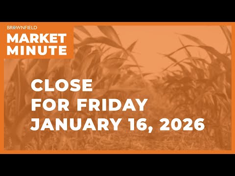 Cattle future fell sharply Friday | Closing Market Minute