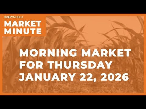 Corn was up overnight | Morning Market Minute cover art