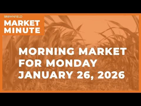 Soybeans were up overnight | Morning Market Minute cover art