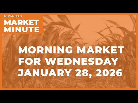 Wheat was higher overnight | Morning Market Minute cover art
