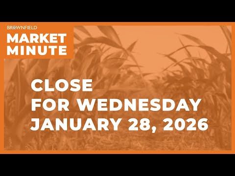 Cattle were higher Wednesday | Closing Market Minute cover art