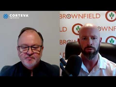 Winter Annual Weeds Pose Threats cover art