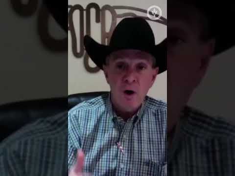 Oklahoma Cattlemen shares ways to support cattle producers impacted by widlfires cover art