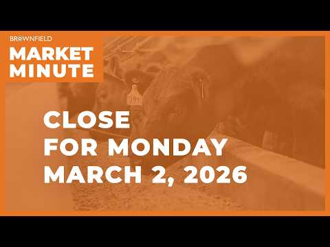 Cattle futures closed higher Monday | Closing Market Minute