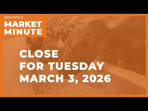 Cattle were mixed Tuesday | Closing Market Minute