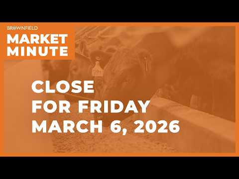 Cattle futures fell sharply Friday | Closing Market Minute