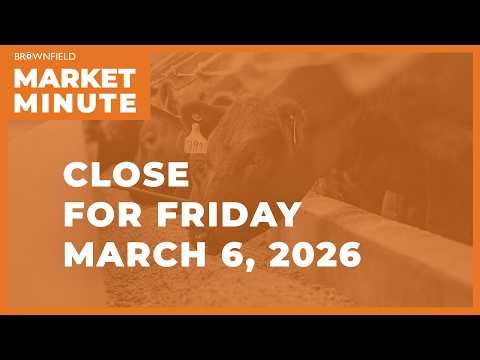 Cattle futures fell sharply Friday | Closing Market Minute cover art