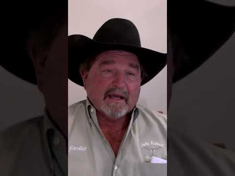 More uncertainty ahead for the cattle markets