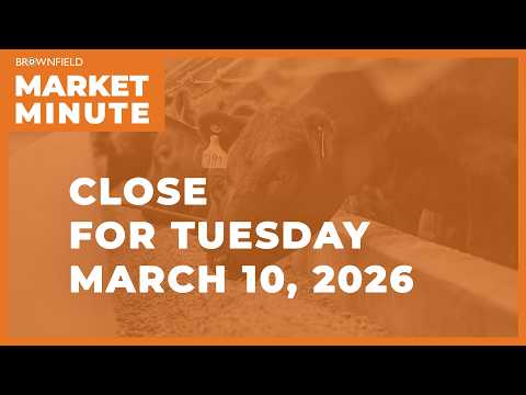 Cattle were higher Tuesday | Closing Market Minute