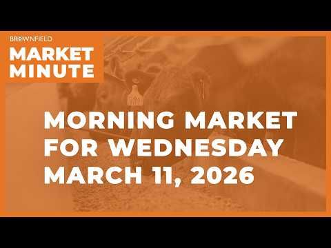 Soybeans were higher overnight | Morning Market Minute cover art