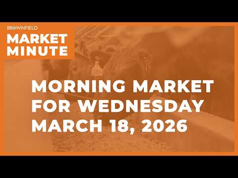 Corn was mixed overnight | Morning Market Minute