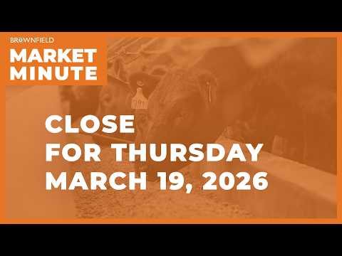 Cattle were lower Thursday | Closing Market Minute