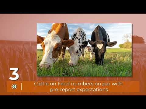 Top 5 News Stories for the week ending March 20, 2026