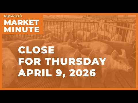 Cattle were higher Thursday | Closing Market Minute