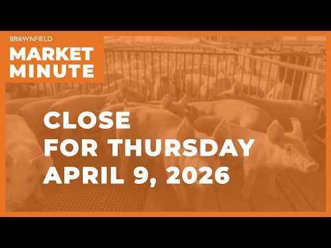 Cattle were higher Thursday | Closing Market Minute cover art