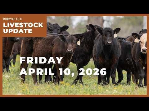 Cattle futures up sharply this week | Weekly Livestock Market Update cover art