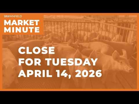 Cattle futures were higher Tuesday | Closing Market Minute cover art