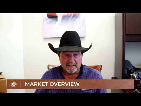 The Latest in the Cattle Market: Insights from Jackie Moore cover art