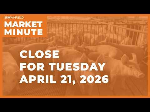 Cattle were lower Tuesday | Closing Market Minute cover art