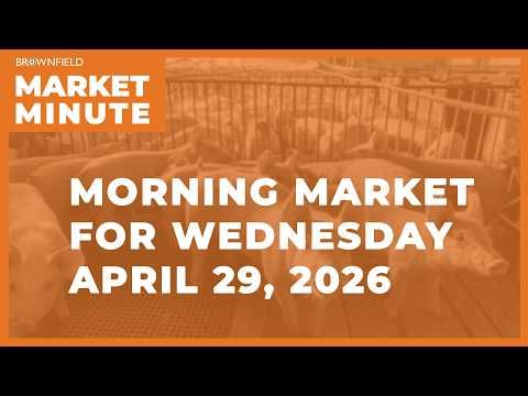 Wheat was higher overnight | Morning Market Minute cover art