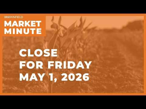 Cattle were lower Friday | Closing Market Minute cover art