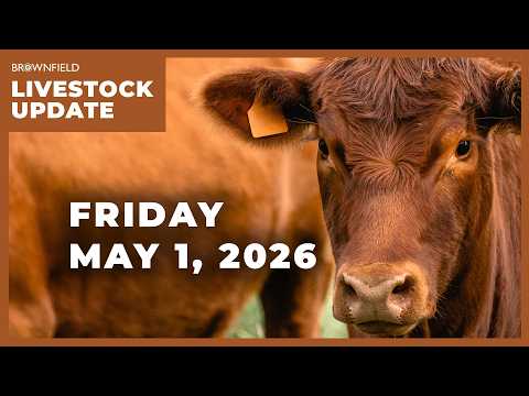 Cattle futures up sharply this week | Weekly Livestock Market Update