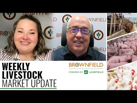 April Placements down 4%, near pre-report expectations: Weekly Livestock Market Update for 5/19/23 cover art