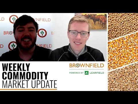 Weekly Commodity Market Update for 3/1/22 cover art