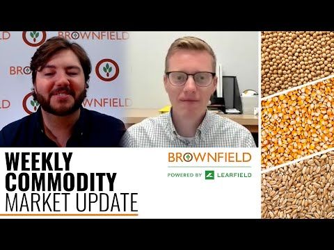 Weekly Commodity Market Update for May 24, 2022 cover art